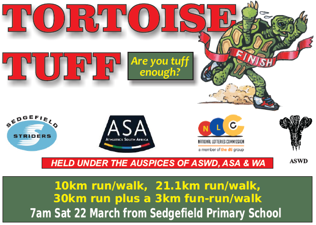 Tortoise Tuff